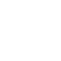 NZavia logo